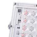 colorful waterproof led flood light with lens bead